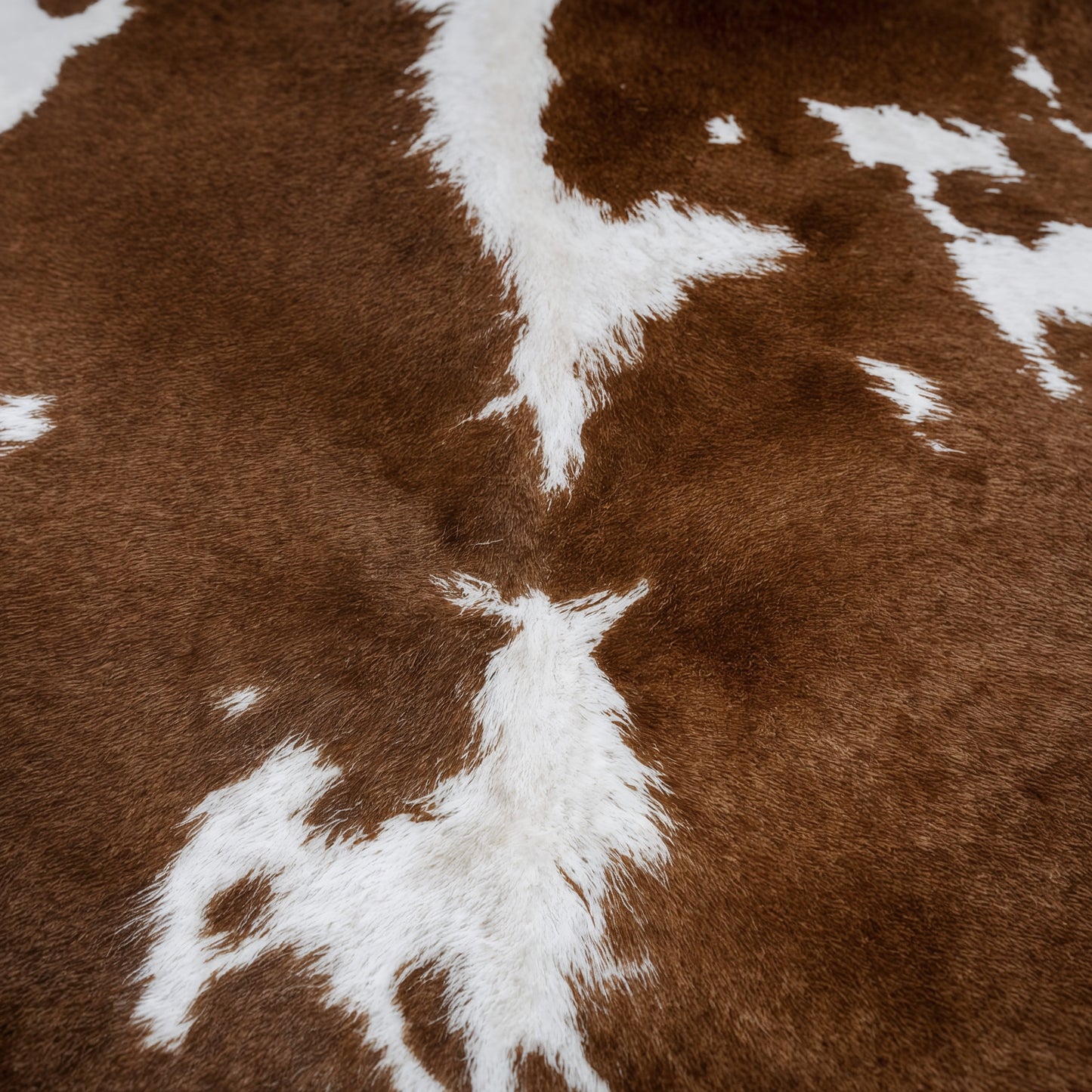 Close-up of brown and white cowhide pattern