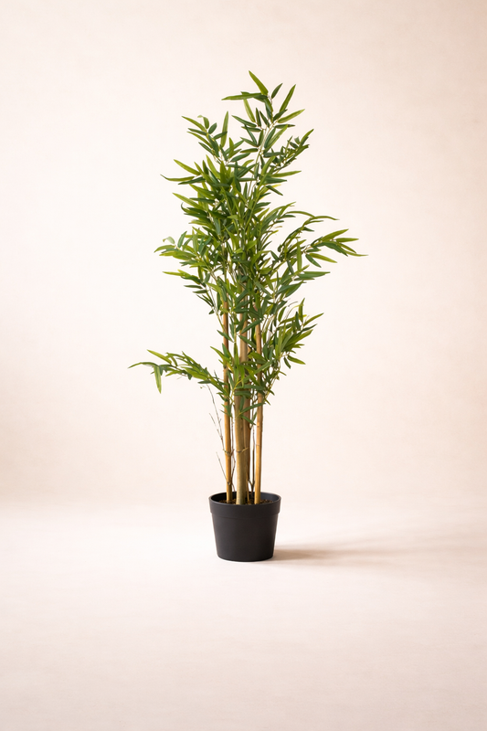 Potted bamboo plant on a beige background
